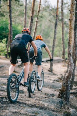 Dikiz deneme bisikletçileri güzel çam ormanı sürme