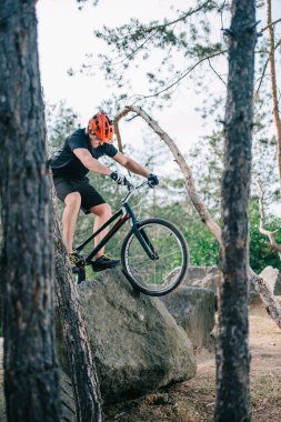 extreme young trial biker climbing on rock at pine forest clipart