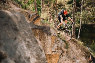 young trial biker riding downhill outdoors in pine forest clipart