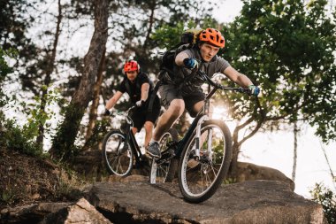 atletik genç deneme bisikletçileri çam ormanı taşlara sürme