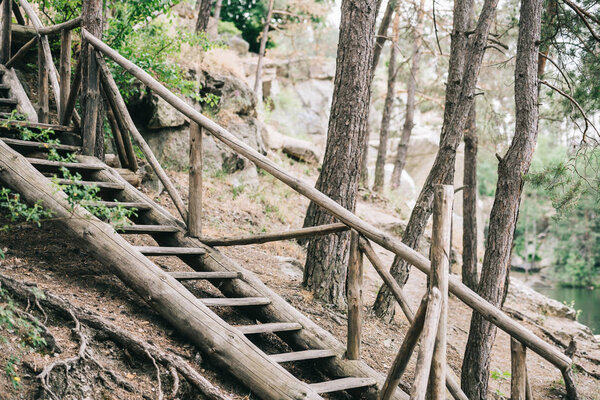 scenic shot of wooden staircase in calm forest