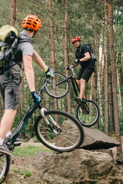 Jonge Mannen Die Rijden Proef Fietsen Prachtig Bos — Gratis stockfoto