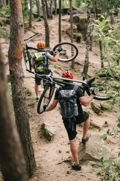 Achteraanzicht Van Trial Bikers Uitvoering Fietsen Rug Bij Forest — Gratis stockfoto