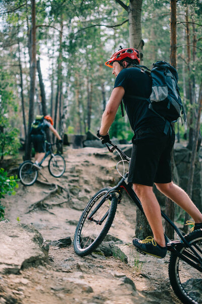 young trial bikers riding uphill at beautiful pine forest