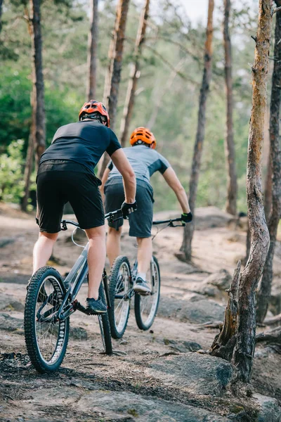 Rear View Trial Bikers Riding Beautiful Pine Forest — Stock Photo, Image