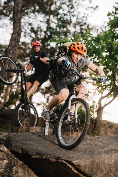 Young Trial Bikers Riding Rocks Pine Forest — Stock Photo, Image