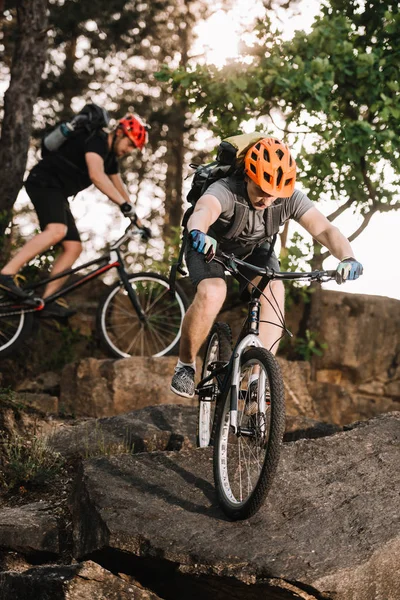 Ciclistas Trial Jóvenes Extremos Cabalgando Sobre Rocas Bosque Pinos — Foto de Stock