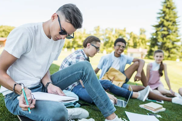 Groupe Multiethnique Adolescents Assis Étudiant Ensemble Dans Parc — Photo