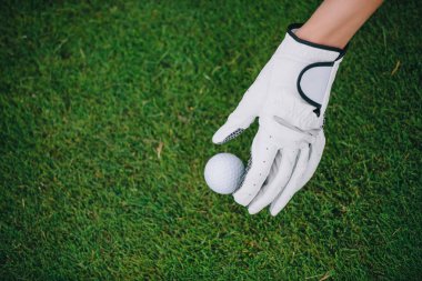 partial view of woman in golf glove putting ball on green lawn at golf course clipart
