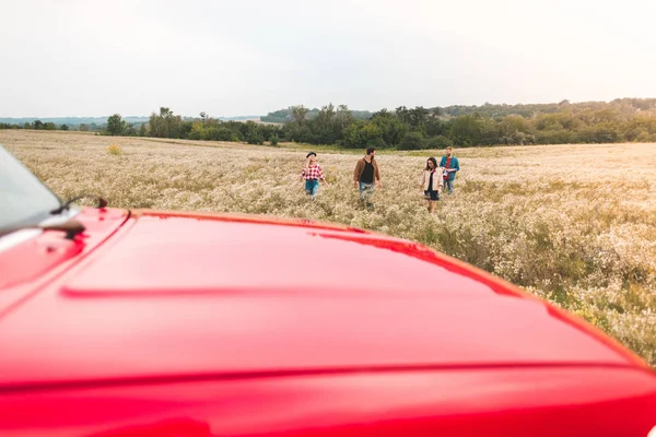 Groupe Jeunes Marchant Par Champ Fleurs Pendant Voyage Voiture — Photo gratuite