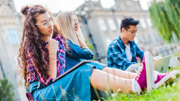 Enfoque Selectivo Los Estudiantes Multiétnicos Sentados Césped Verde Parque — Foto de stock gratis