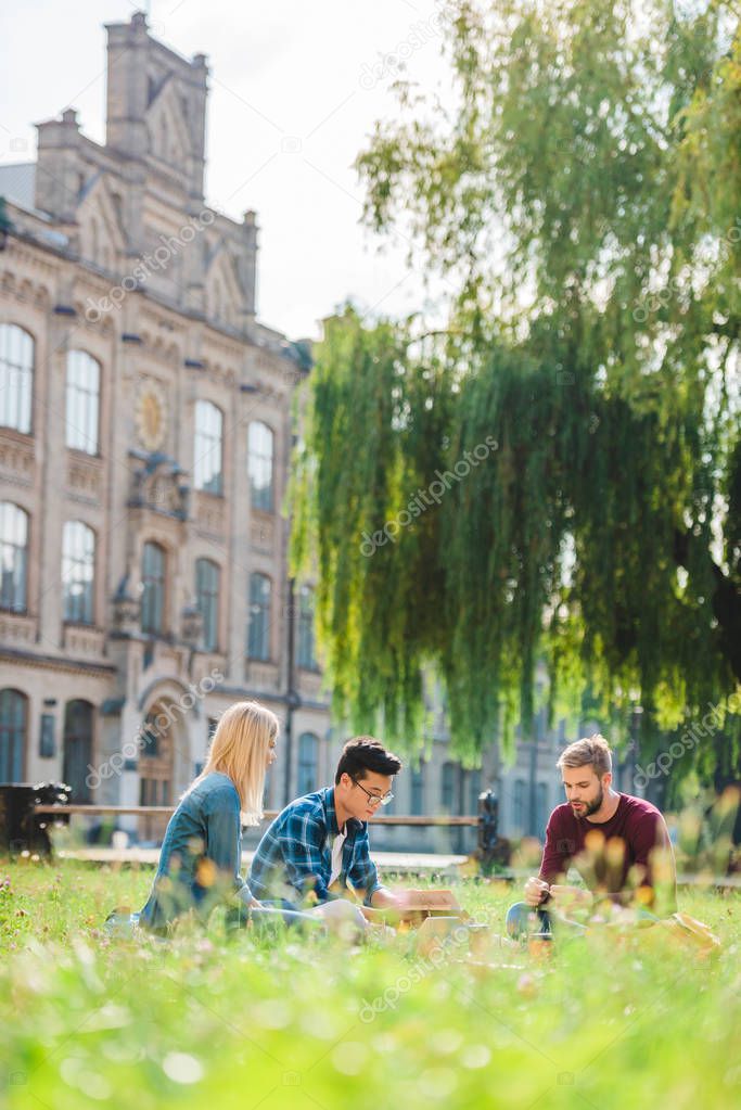 selective focus of multicultural students resting on green grass near university