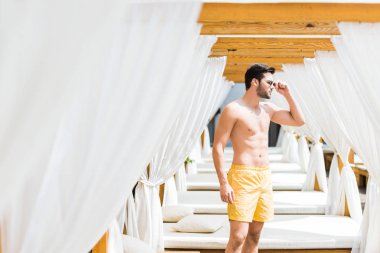 gömleksiz yakışıklı şezlong duran ve uzağa arıyorsunuz Güneş gözlüğü