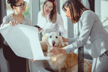 genç çok ırklı iş kadınları ofiste köpekle oynamayı formal giyim