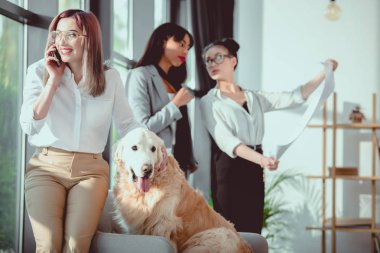 smartphone köpekleri ise iş vasıl yazıhane sırasında konuşurken işkadını