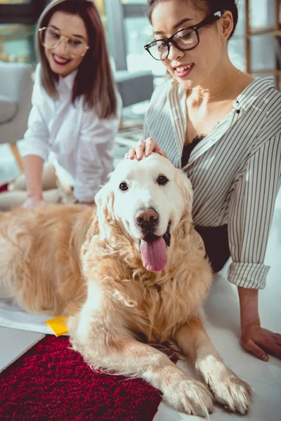 Young Multiethnic Businesswomen Petting Furry Dog Office — Stock Photo, Image