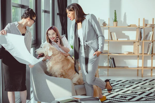 微笑多民族女企业家在正式磨损处和狗一起玩 — 图库照片