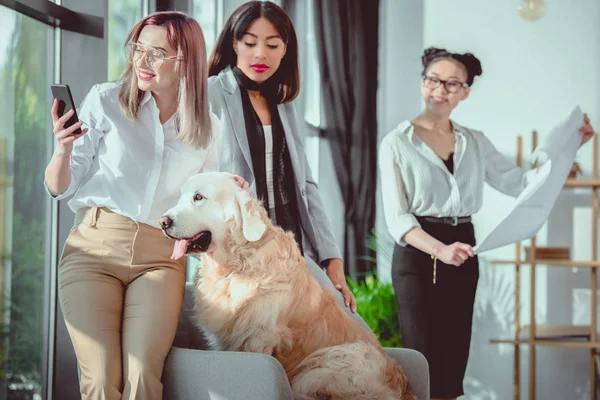 Genç Çok Irklı Kadınları Ofiste Çalışan Köpek Ile Formal Giyim — Ücretsiz Stok Fotoğraf