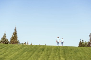 distant view of couple holding hands and walking on grassy hill outdoors  clipart