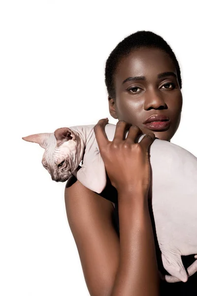 Hermosa africana americana chica sosteniendo sphynx gato y mirando cámara aislado en blanco - foto de stock