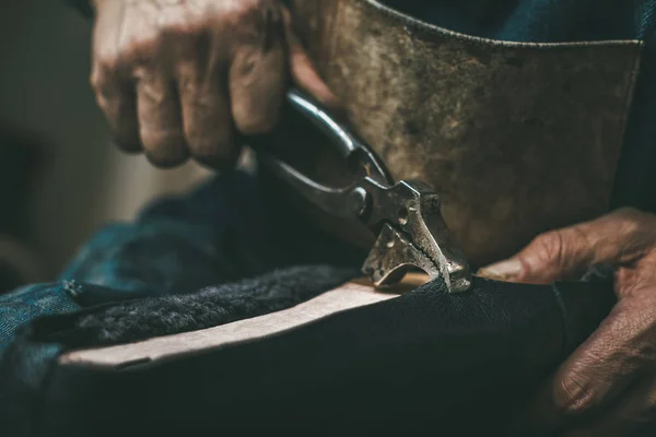 Cropped shot of shoemaker pooling on leather on shoe with pliers — Stock Photo