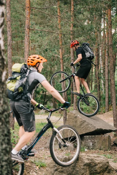 Jeunes motards d'essai s'amusant dans la forêt de pins — Photo de stock