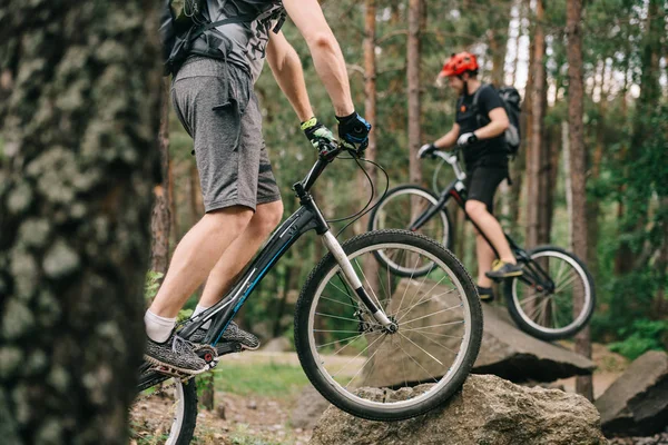 Recortado disparo de jóvenes ciclistas de trial divertirse en el bosque de pinos - foto de stock