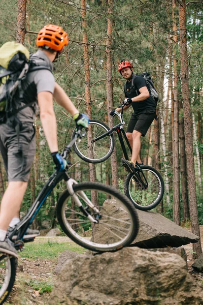 Hombres jóvenes montados en bicicletas de prueba en el hermoso bosque - foto de stock