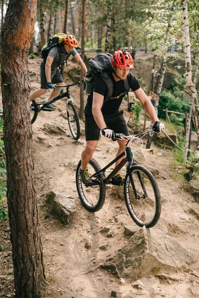 Extreme young trial bikers riding downhill on back wheels at beautiful forest — Stock Photo