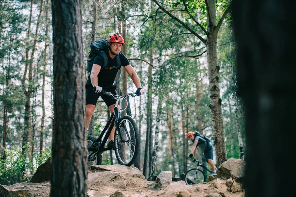 Jeunes cyclistes de trial extrêmes chevauchant dans une belle forêt de pins — Photo de stock