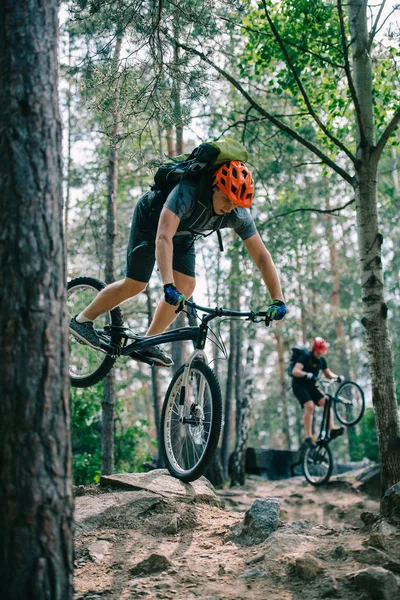 Young trial bikers standing on front and back wheels at beautiful forest — Stock Photo