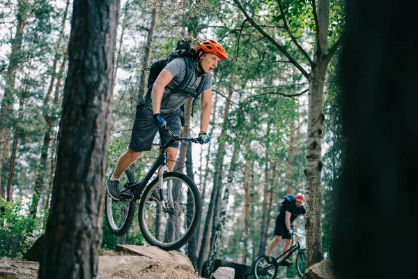 Jóvenes ciclistas de trial activos a caballo en el hermoso bosque - foto de stock