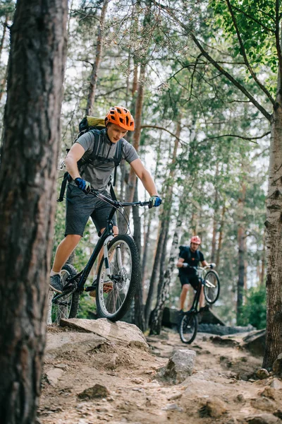Jóvenes ciclistas de trial montar y realizar acrobacias en el hermoso bosque - foto de stock