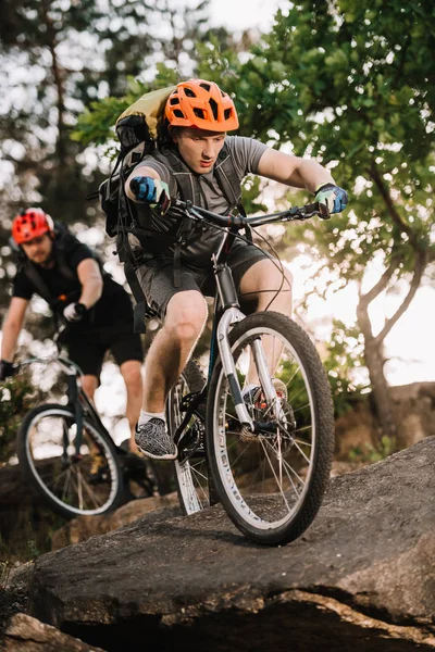 Jóvenes ciclistas de trial activos cabalgando sobre rocas en el bosque de pinos - foto de stock