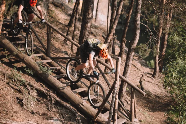 Young trial bikers riding down stairs in forest — Stock Photo