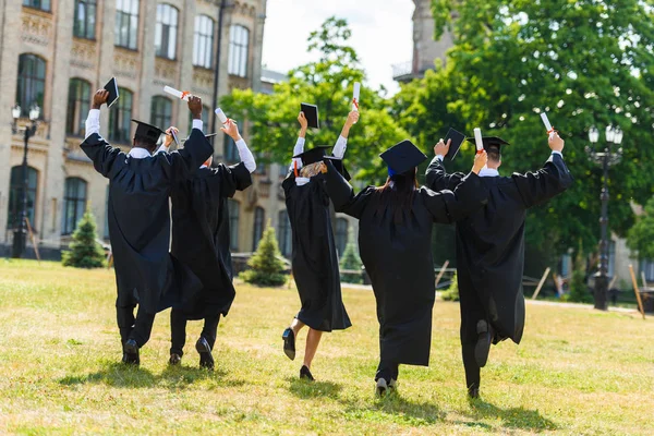 Vista trasera de la celebración de los jóvenes estudiantes graduados en capas caminando por el jardín universitario - foto de stock