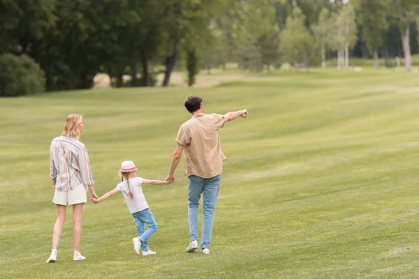 Vista posteriore della famiglia con un bambino che si tiene per mano e cammina insieme nel parco — Foto stock