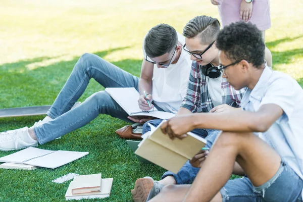 Meninos adolescentes multiétnicos sentados e estudando juntos no parque — Fotografia de Stock