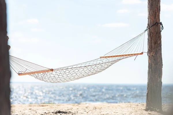 Гамак, що висить між двома деревами на піщаному пляжі біля моря — стокове фото