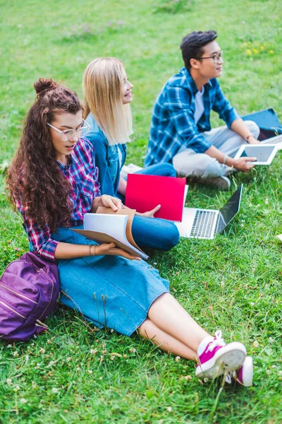 Estudiantes multiétnicos con cuadernos y dispositivos digitales sentados sobre hierba verde en el parque - foto de stock