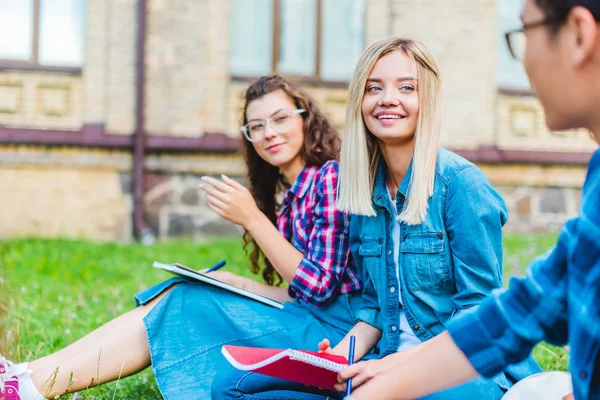 Multiethnische Studenten mit Notizbüchern sitzen auf grünem Gras im Park — Stockfoto