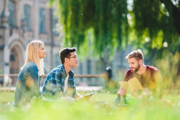 Selective focus of multicultural students resting on green grass in summer park — Stock Photo