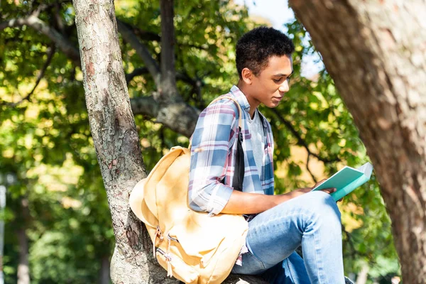 Konzentrierter Teenager liest Buch, während er auf einem Ast sitzt — Stockfoto