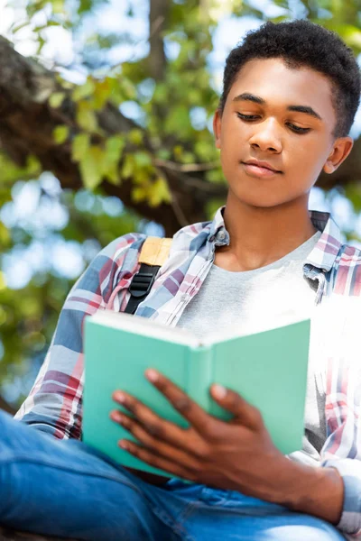 Blick von unten auf fokussierte Teenager-Schüler lesen Buch unter Baum — Stockfoto
