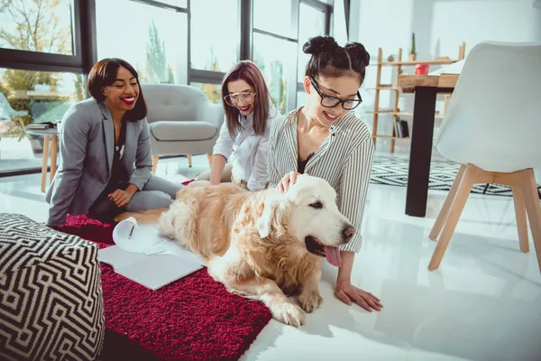 Feliz multiétnica empresarias acariciando perro peludo mientras está sentado en el suelo en la oficina - foto de stock