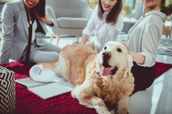 Cropped shot of multiethnic businesswomen petting dog while sitting on the floor at office — Stock Photo