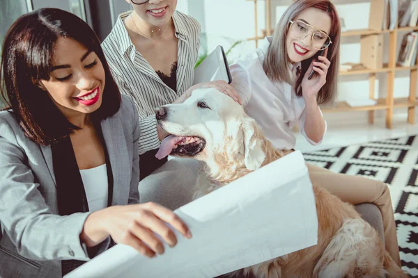 Junge multiethnische Geschäftsfrauen in formeller Kleidung, die mit Hund im Büro herumalbern — Stockfoto