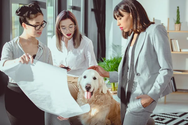 Young multiethnic businesswomen in formal wear showing blueprint to dog at office — Stock Photo