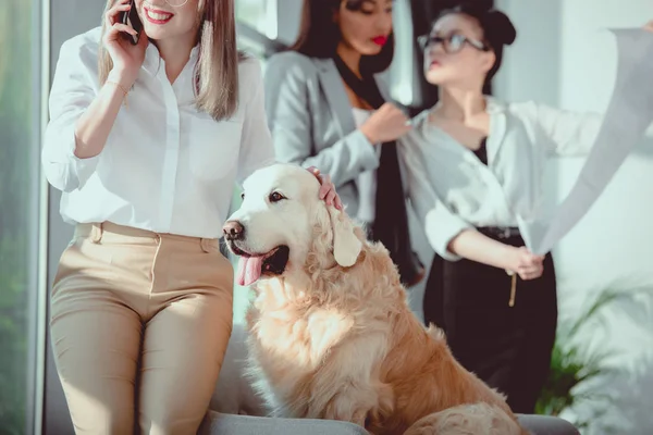Mujer de negocios hablando en el teléfono inteligente mientras acaricia perro durante el trabajo en la oficina - foto de stock