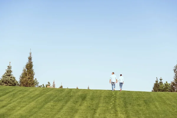 Vista lejana de pareja cogida de la mano y caminando en la colina cubierta de hierba al aire libre - foto de stock
